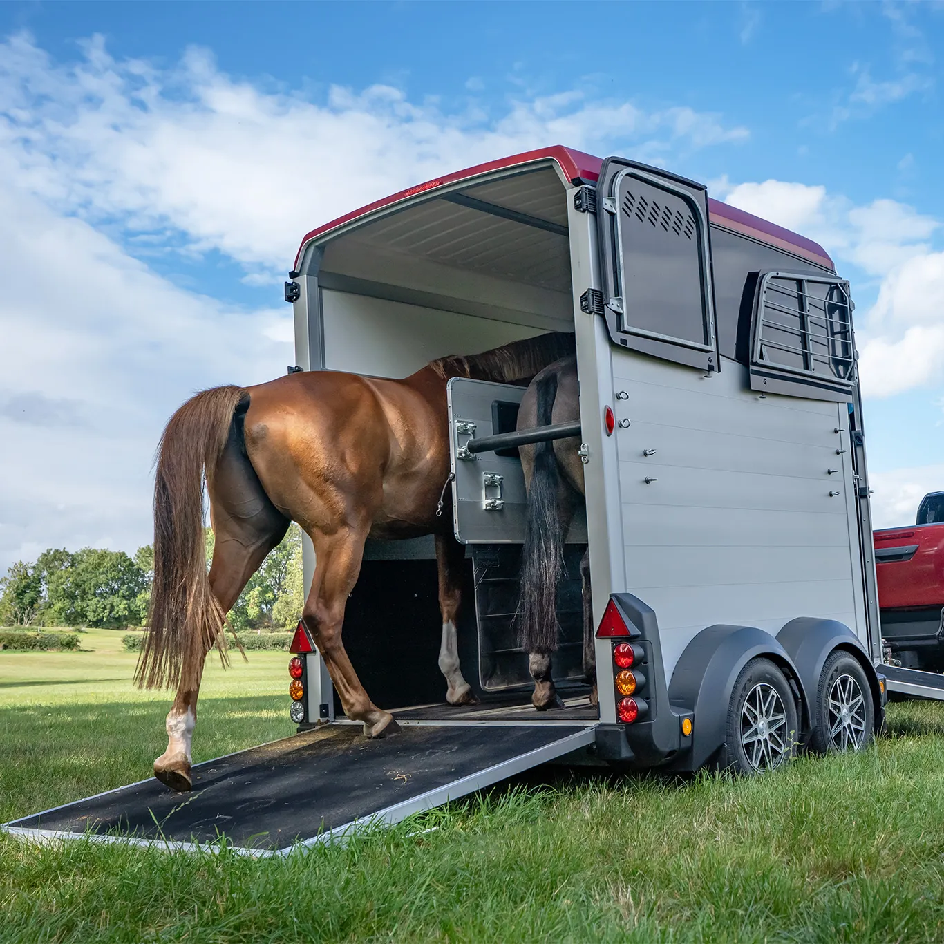 Ifor Williams hestetrailer